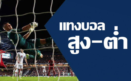 เว็บแทงบอล1x2